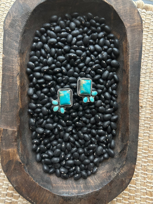 Mixed turquoise earrings
