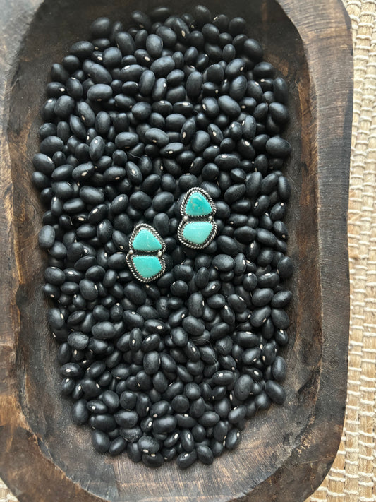 Carico lake studs