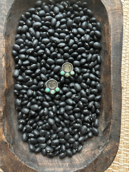 Horseshoe studs